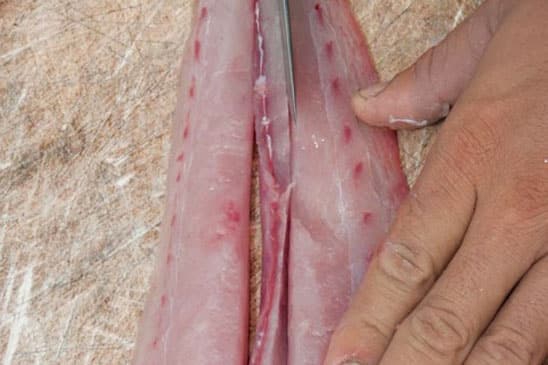 How to fillet fish mahi dolphinfish dorado