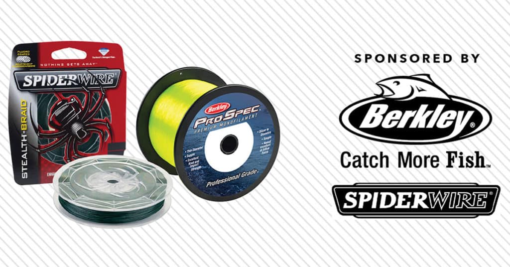 Fishing line Berkley SpiderWire