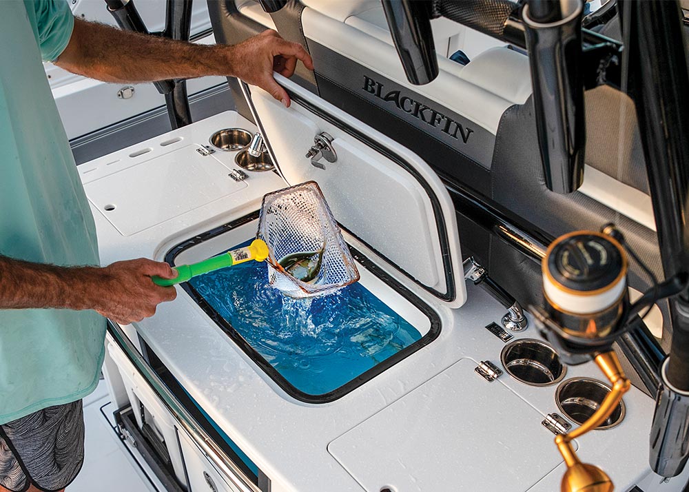 Blackfin 332 CC: 2019 Boat Buyers Guide