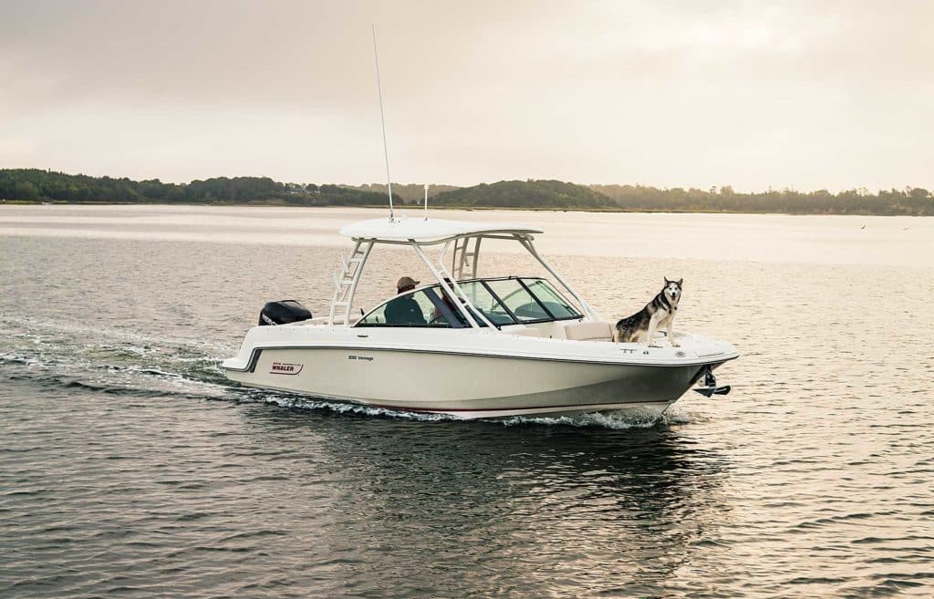 Inshore/Coastal: 2019 Boat Buyers Guide