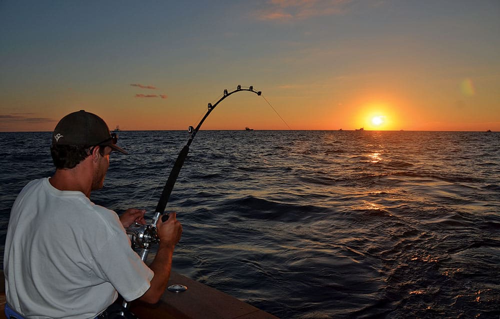 Fighting Tuna at Sunset