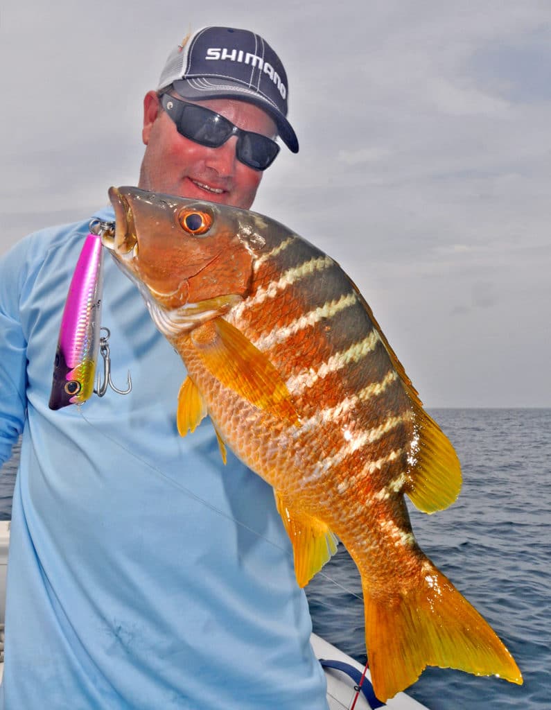 Schoolmaster snapper caught fishing Panama San Blas Islands