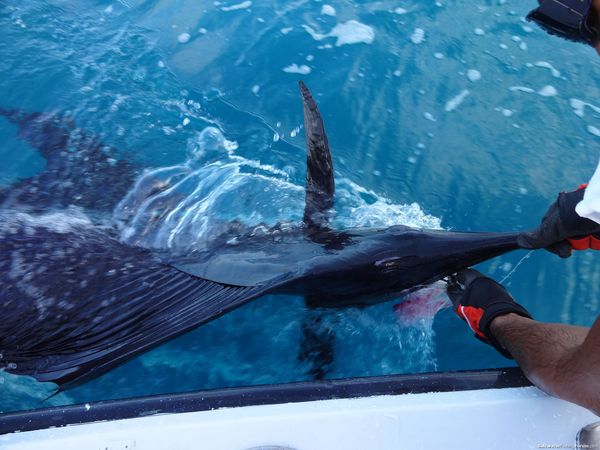 fishing-pictures-nov51.jpg