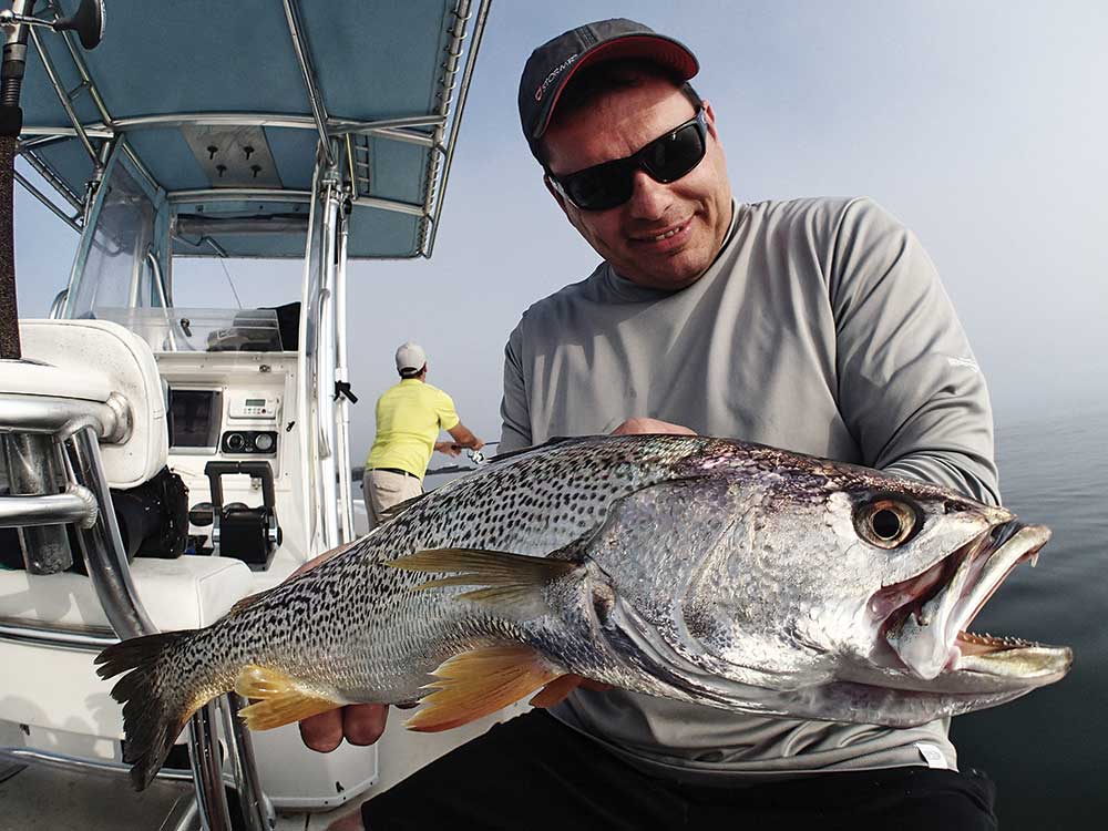 catching weakfish