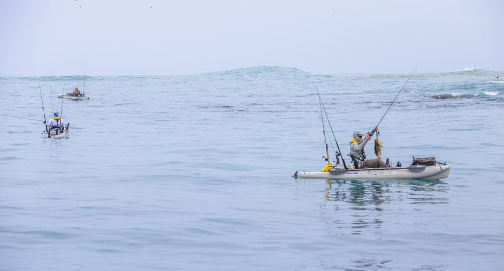 Fishing the boiler rocks at southern Cedros Island