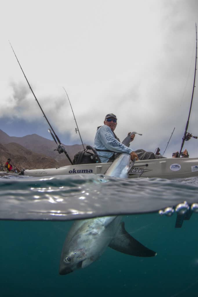 Angler lands monster thresher shark from his kayak