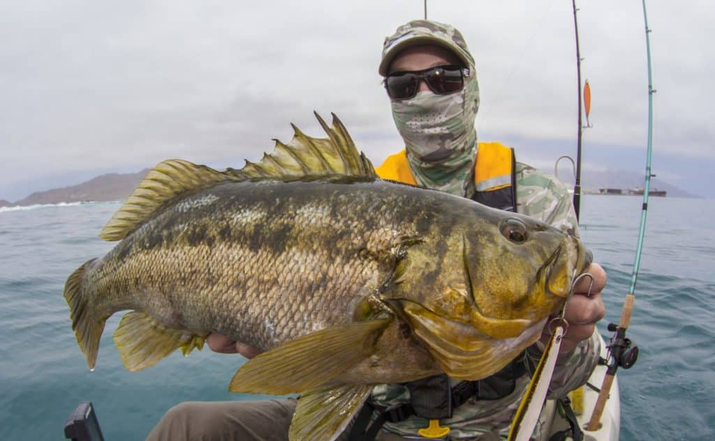 Morgan Promnitz about to release a huge calico bass