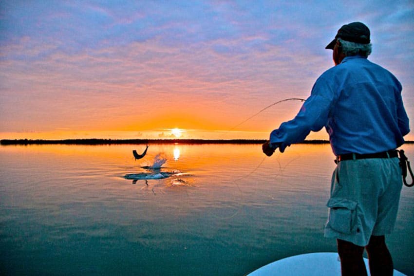 fitz coker with a dawn tarpon in florida bay.jpg