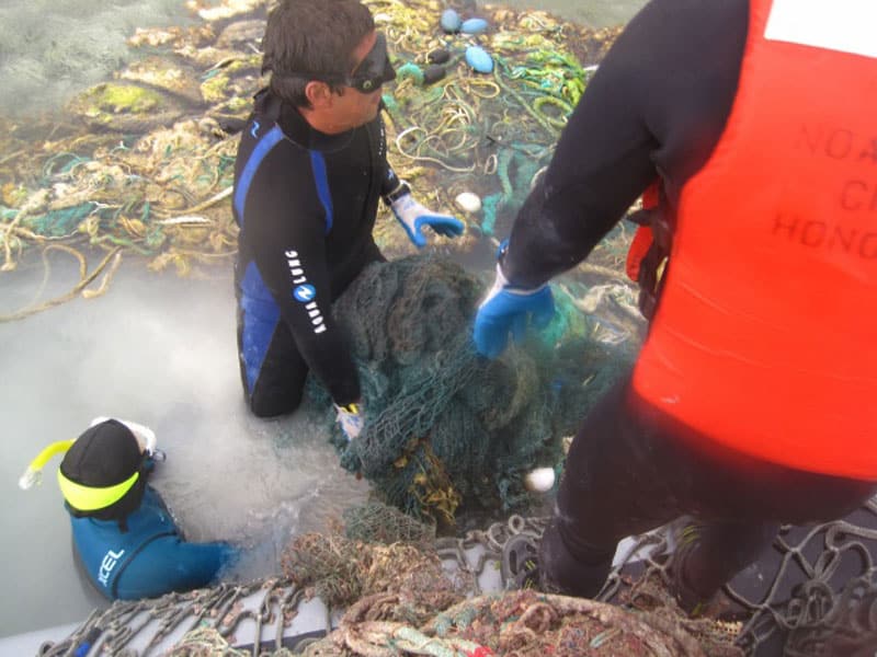 Hawaiian Marine Debris