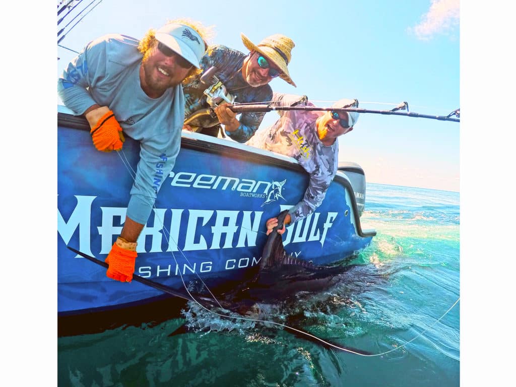 Anglers releasing a blue marlin while fishing in the Gulf of Mexico
