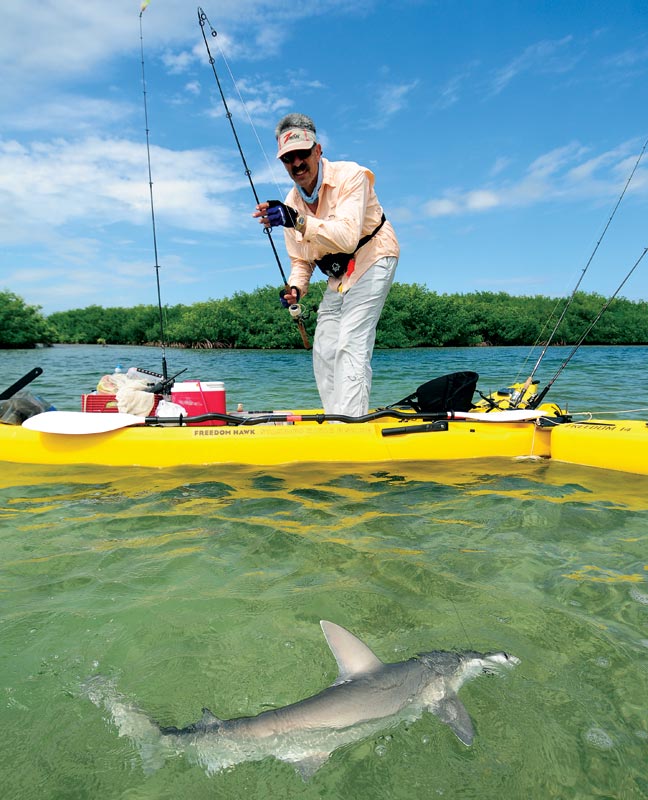 florida-bay-kayak-shark.jpg