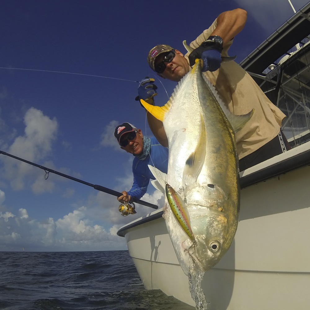 Angler off Louisiana releases a huge jack crevalle