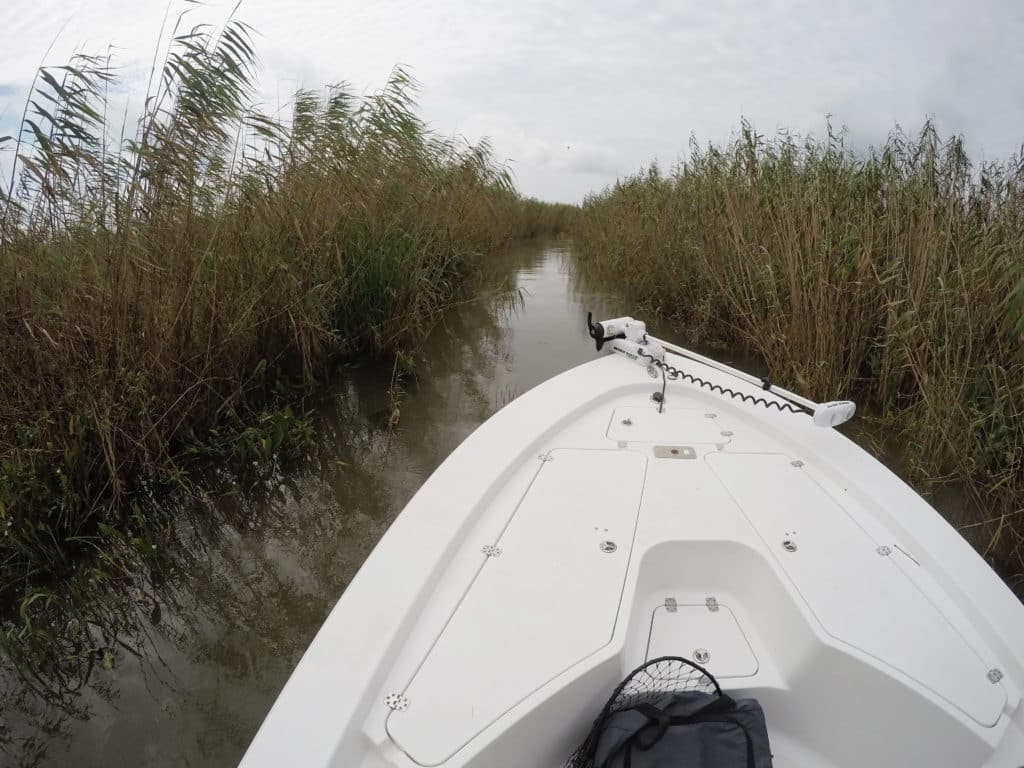 Bay boat navigates a narrow channel connecting bodies of water in Louisiana's marsh.