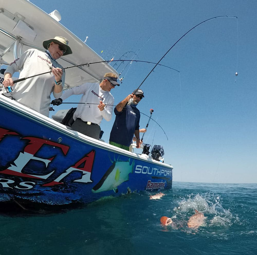 Red Snapper Offshore Crystal River