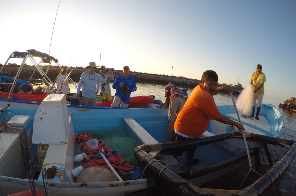 anglers aboard pangas kayak fishing Baja’s Central Sea of Cortez
