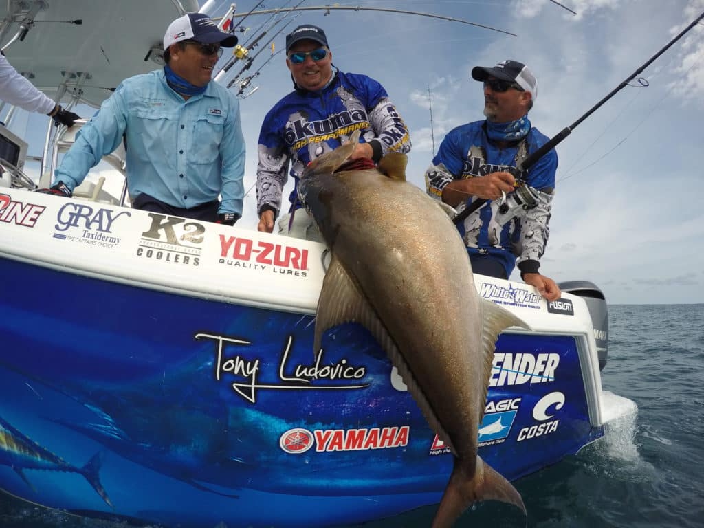 Costa Rica fishing - an amberjack