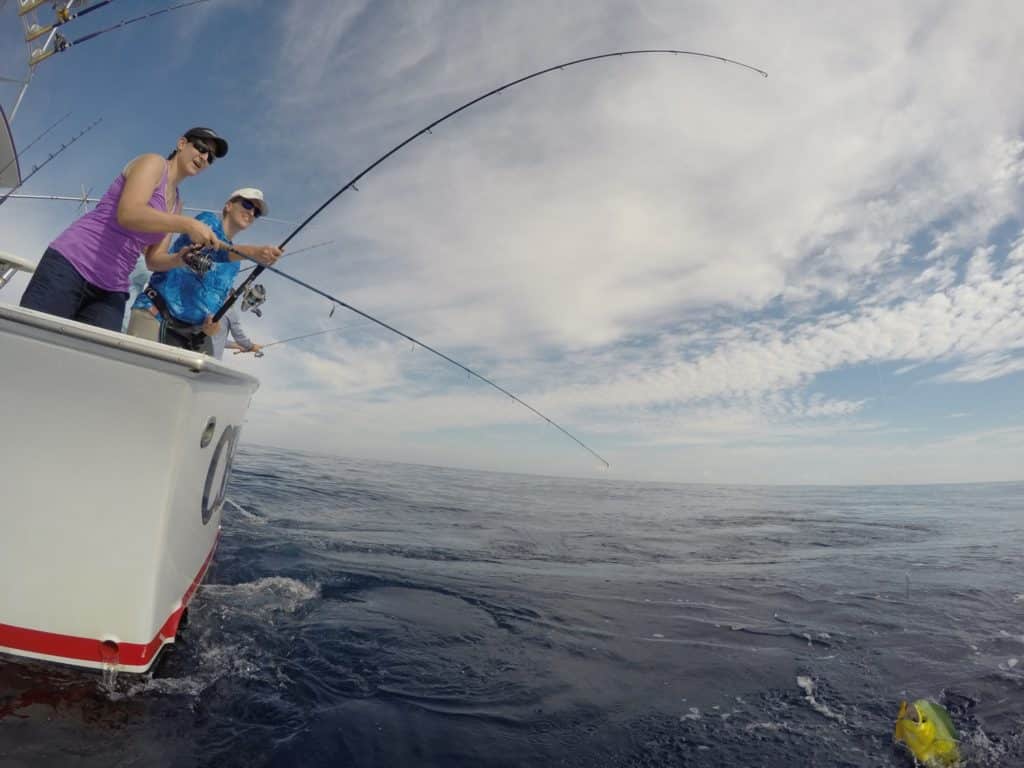 Fishing North Carolina's Outer Banks - a school of mahi