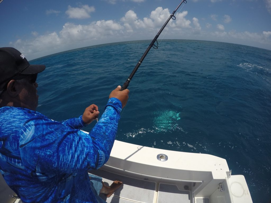 Australia's Great Barrier Reef — hooked up!