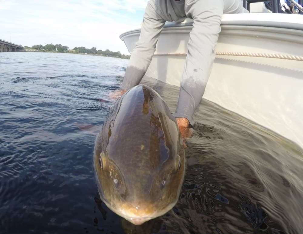 CCA Florida Wraps Annual 101-Day Statewide Family-Friendly Fishing Competition and Announces Winners