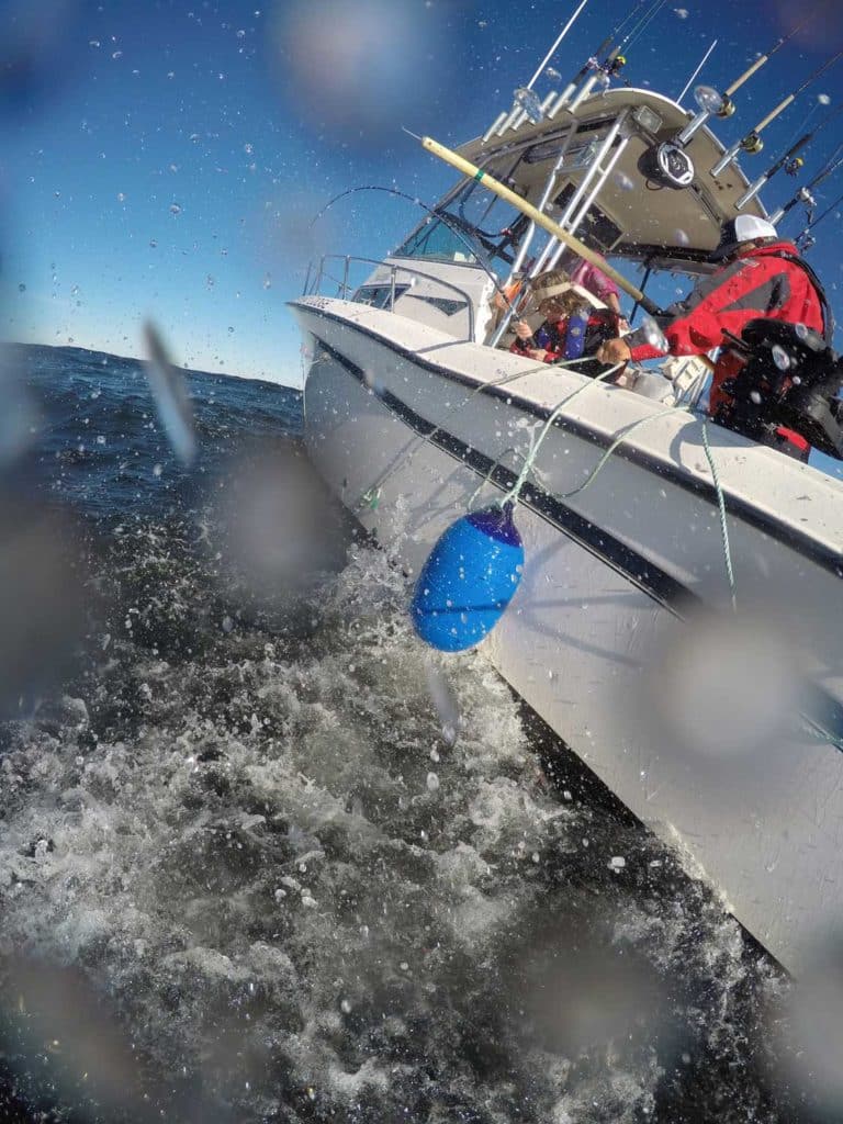 Halibut goes ballistic at the boat