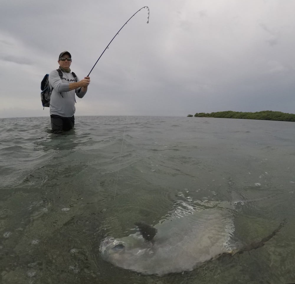 Angler lands a permit on flats of Roatan.