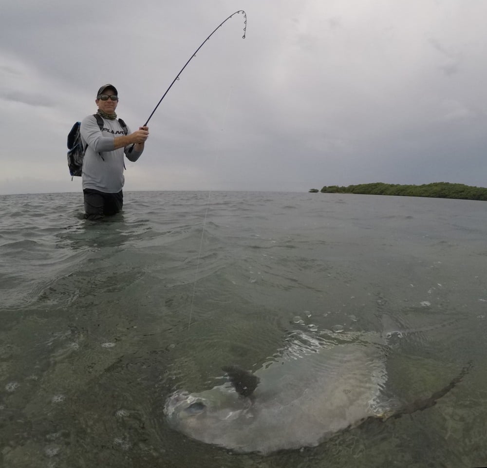 Hands on fishing roatan - About