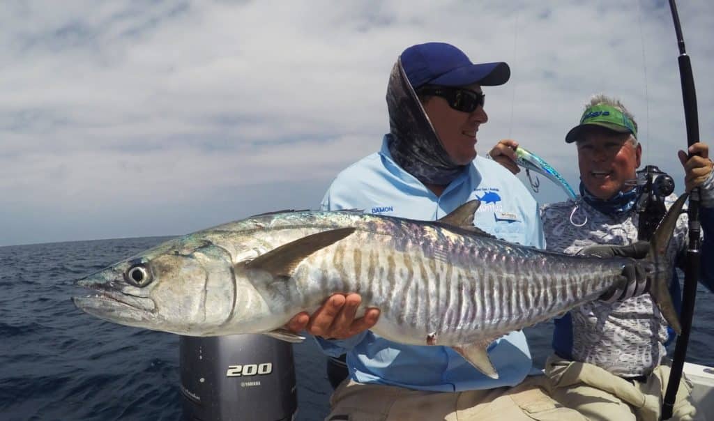 fishing Australia's Great Barrier Reef narrowbarred mackerel saltwater game fish