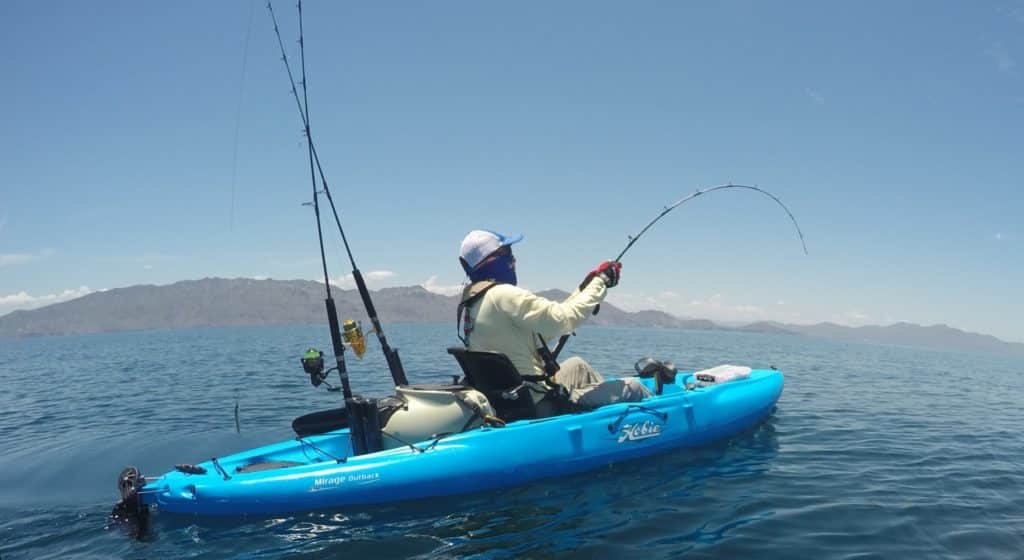 saltwater fisherman hooked up Hobie kayak fishing Baja’s Central Sea of Cortez
