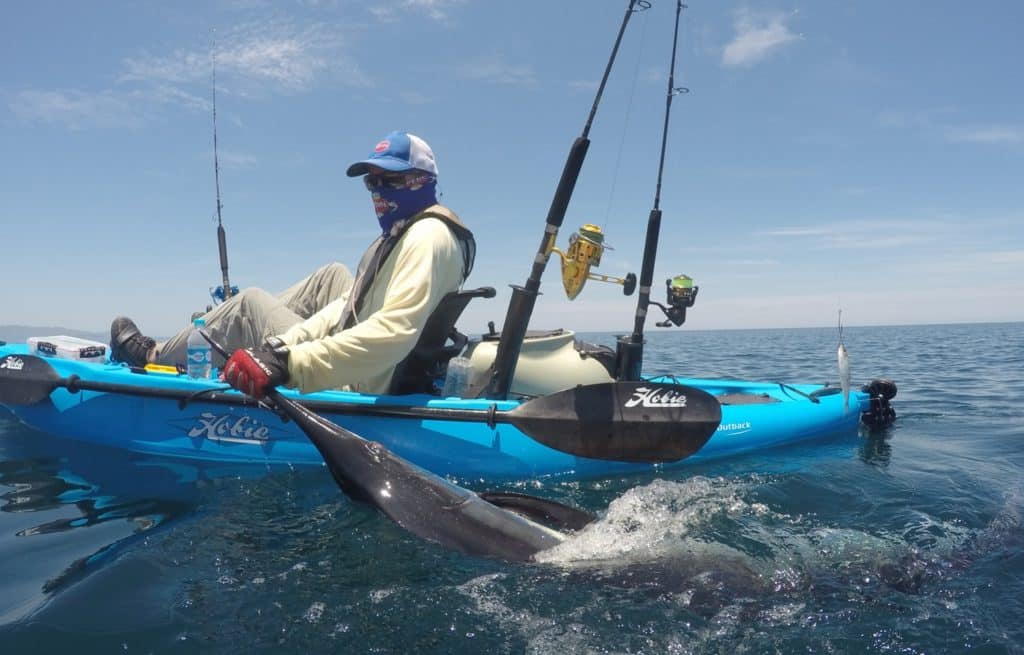 saltwater fisherman releasing striped marlin Hobie kayak fishing Baja’s Central Sea of Cortez