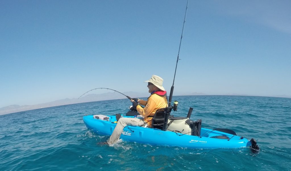 saltwater fisherman fighting fish Hobie kayak fishing Baja’s Central Sea of Cortez