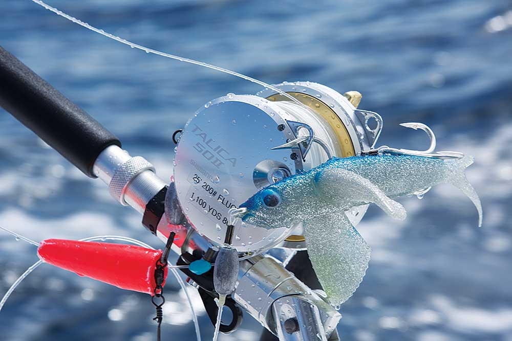 kite-fishing for bluefin tuna
