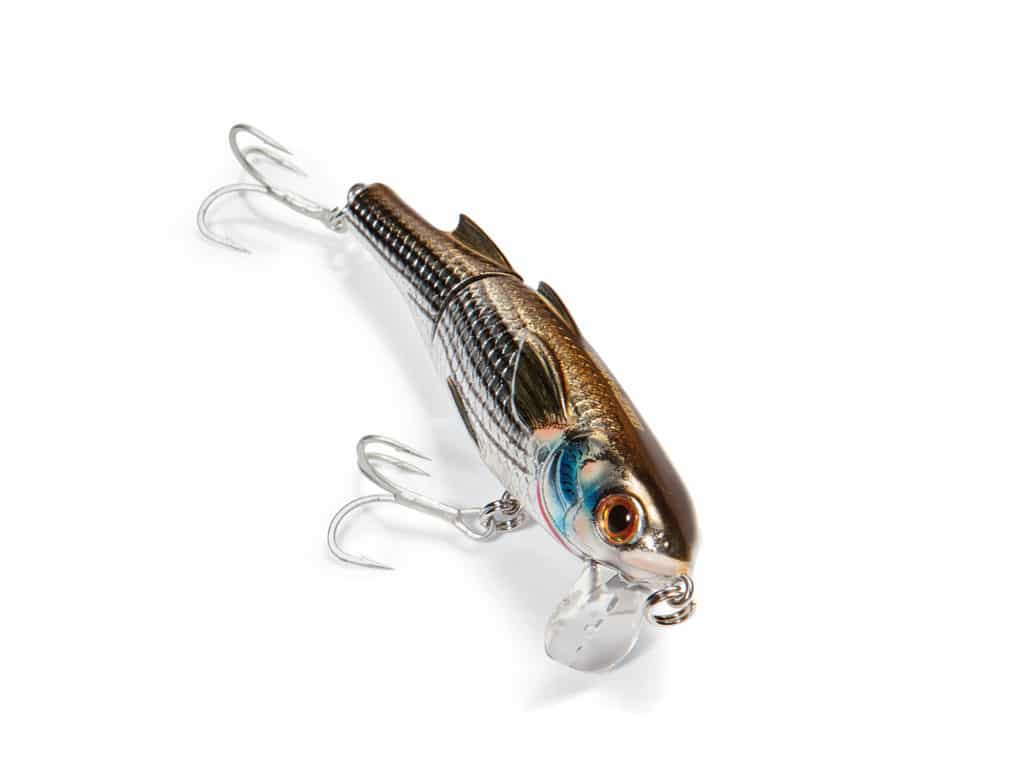 Best Wake Baits for Saltwater Fishing