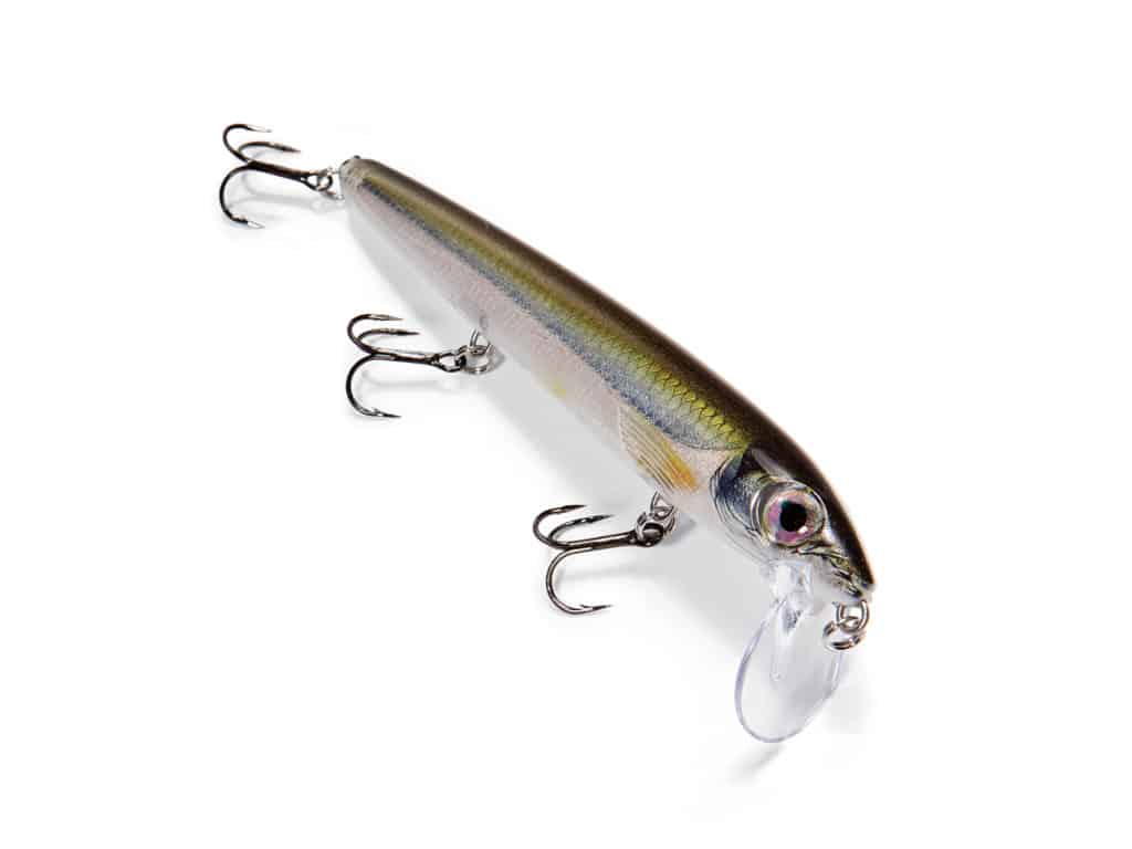 Best Wake Baits for Saltwater Fishing