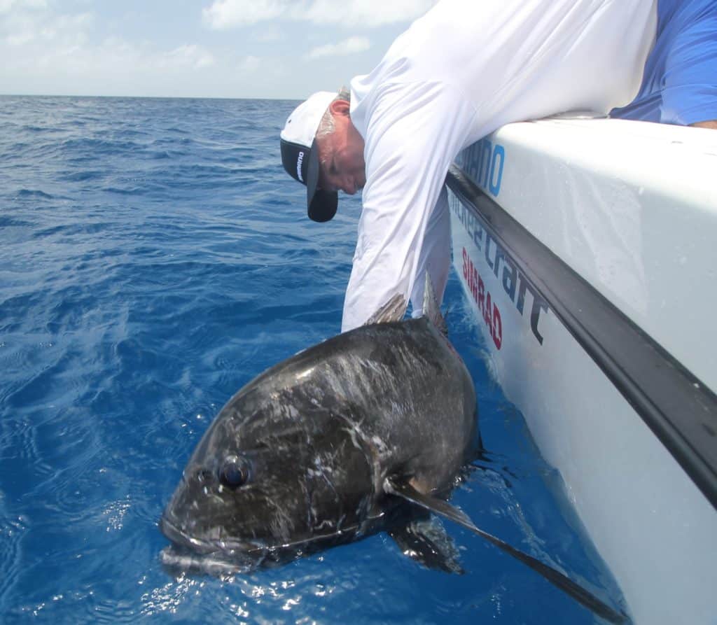 Australia's Great Barrier Reef — releasing a giant trevally