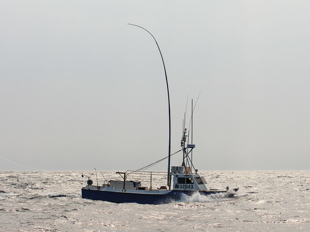 green-stick fishing