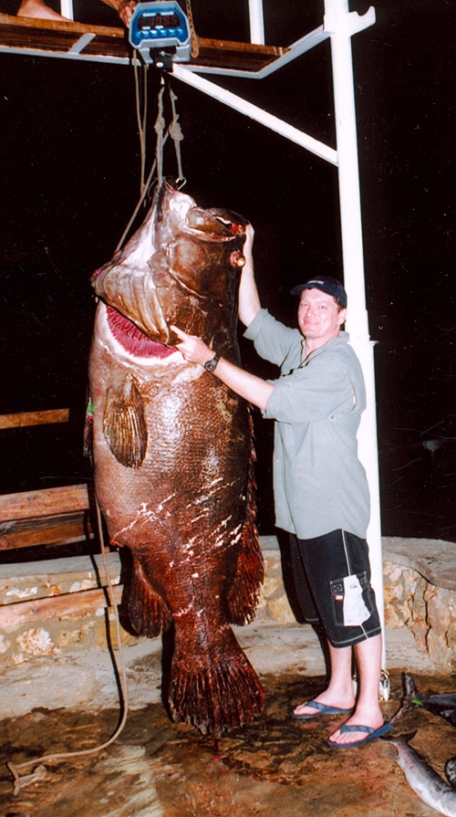 295-pound, 11-ounce giant grouper off Latham Island, Tanzania