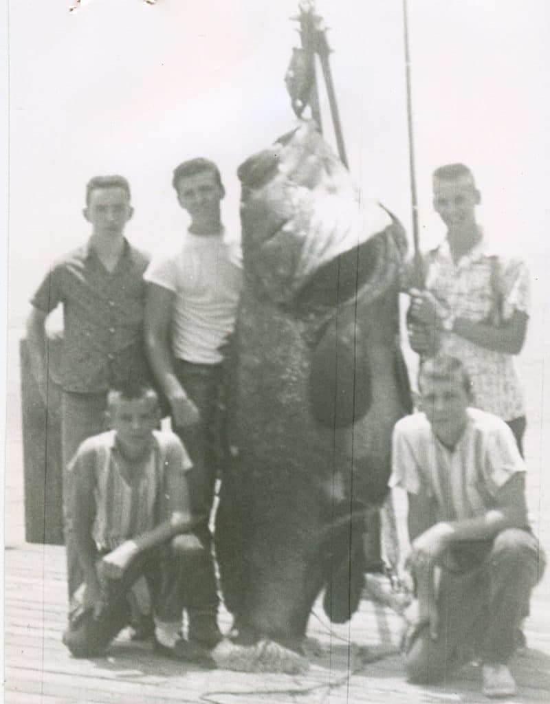 680-Pound Goliath Grouper