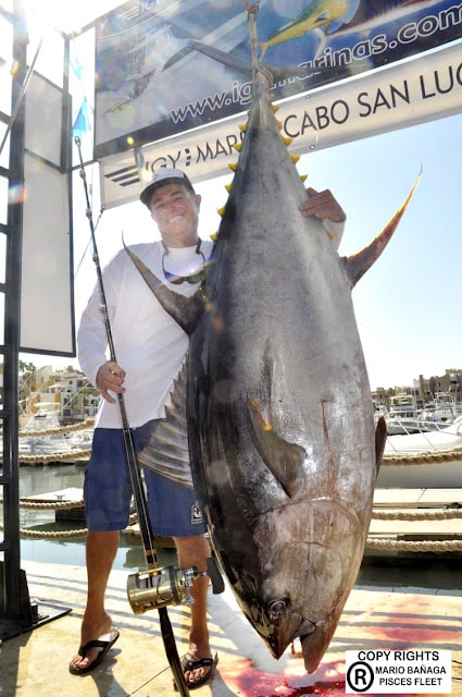 Record Yellowfin