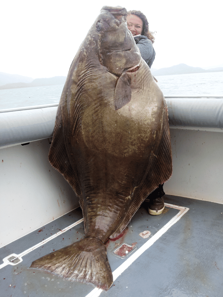 Halibut Fishing photo