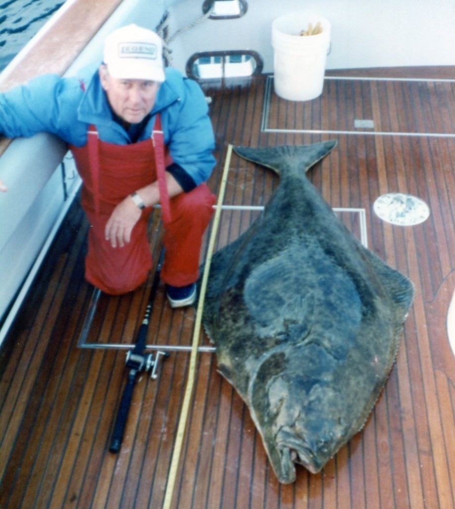 world-record pacific halibut