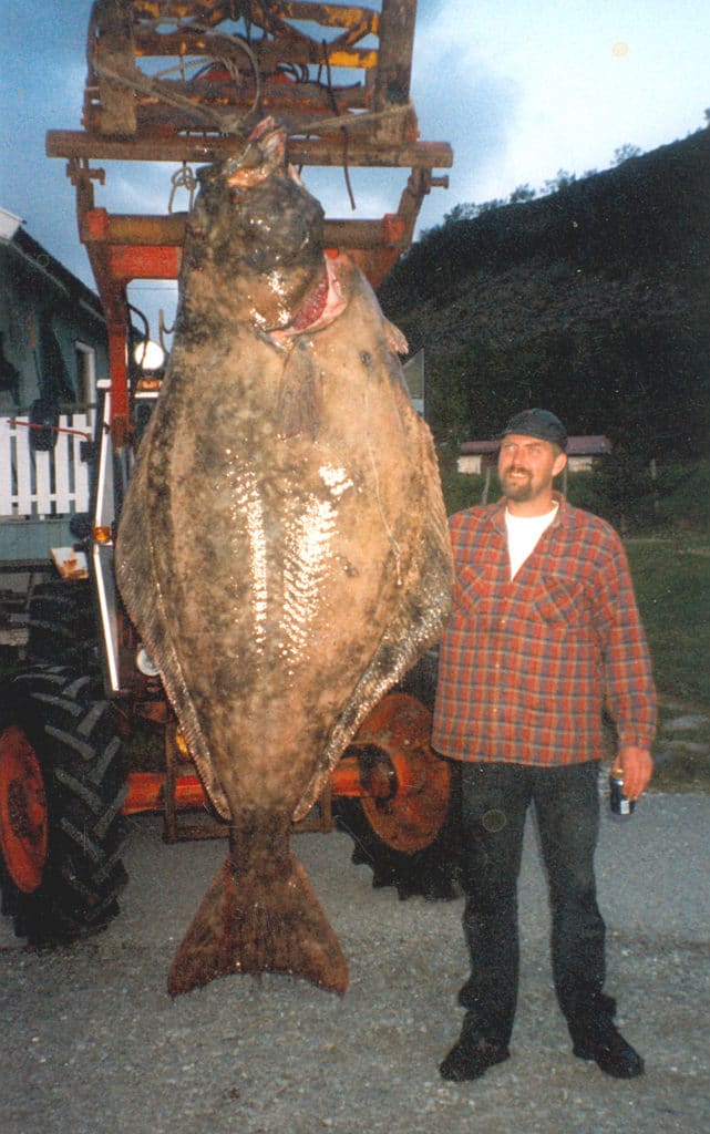 418-POUND ATLANTIC HALIBUT