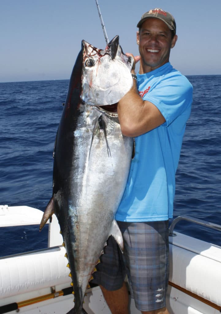 bluefin tuna fishing endangered