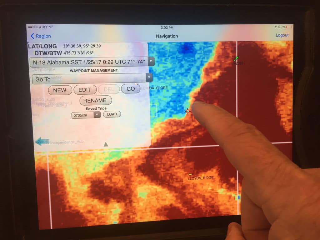 Hilton's Sea Surface Temperature