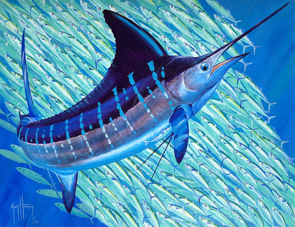 Guy Harvey painting holy mackerel