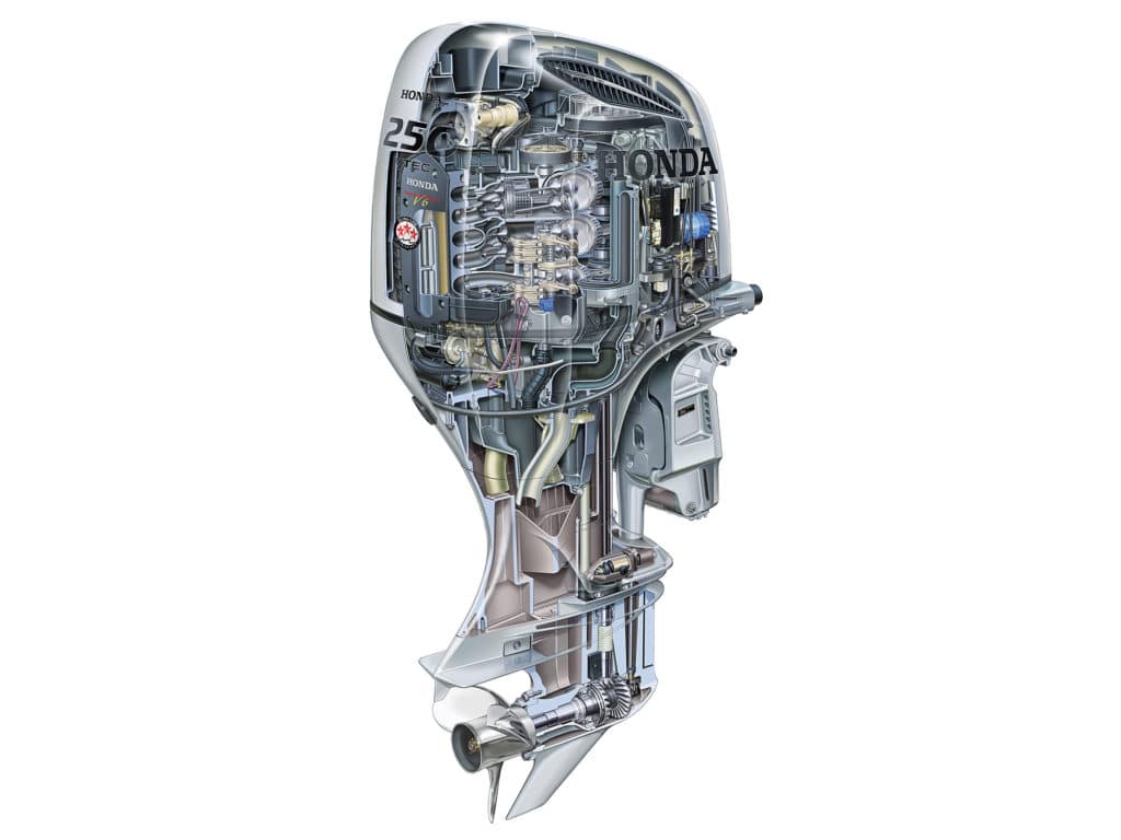 Honda BF250 Diagram