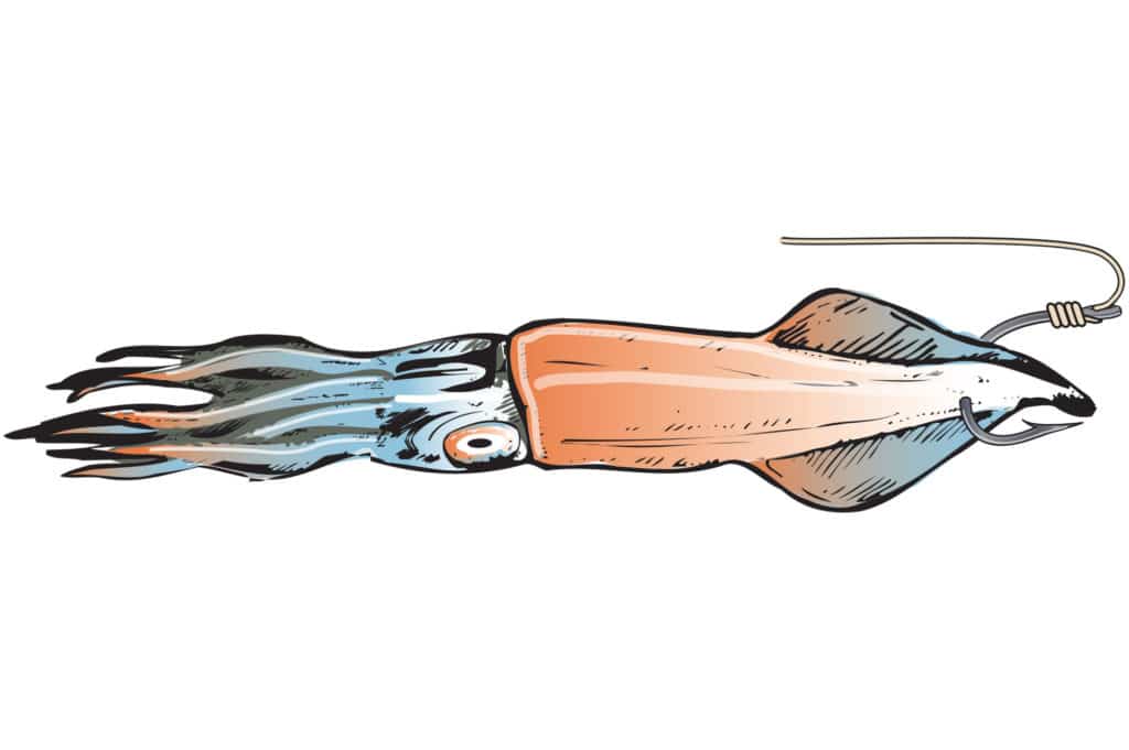 Capt. John Raguso's tips for hooking longfin squid