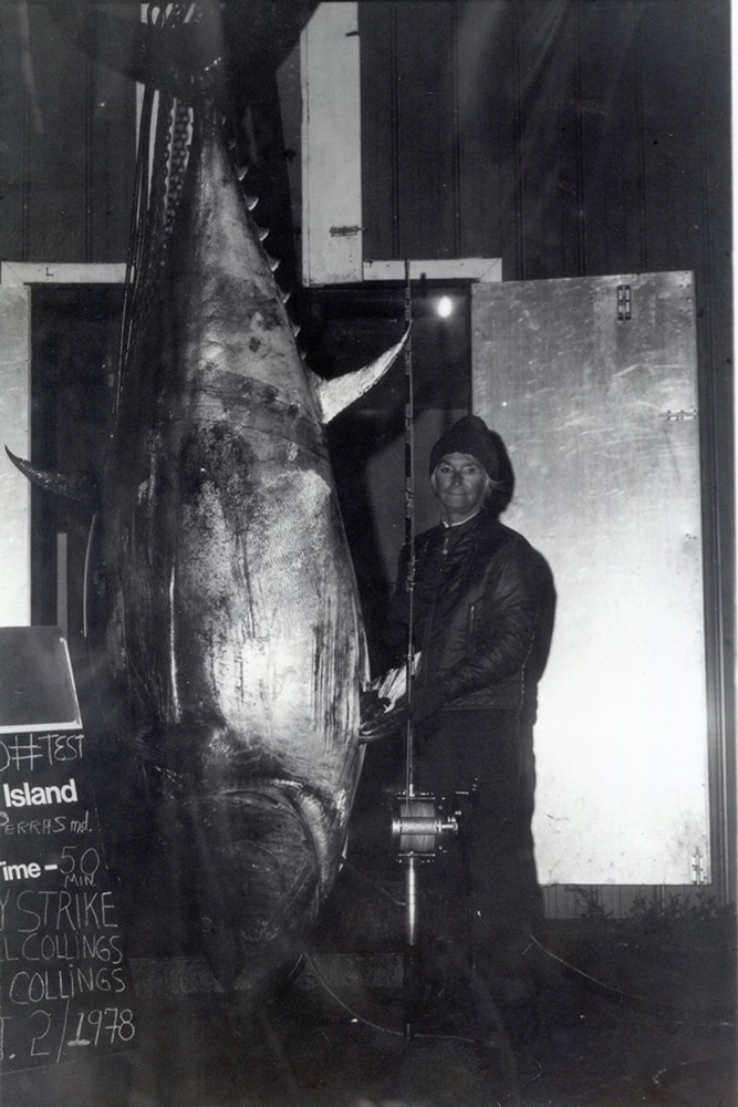 Fishing world record huge bluefin tuna fish
