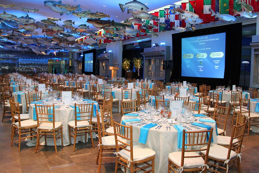 igfa awards_01b.jpg