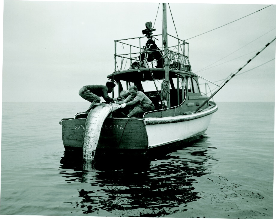 historic big game fishing