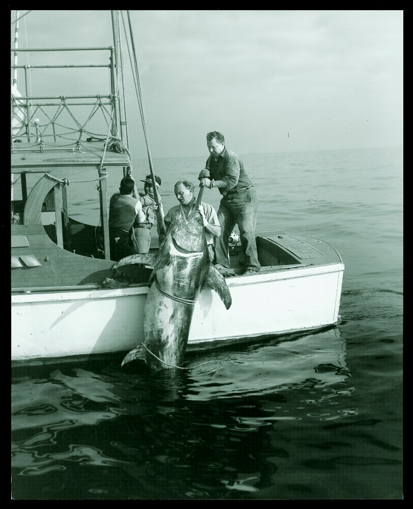 historic big game fishing